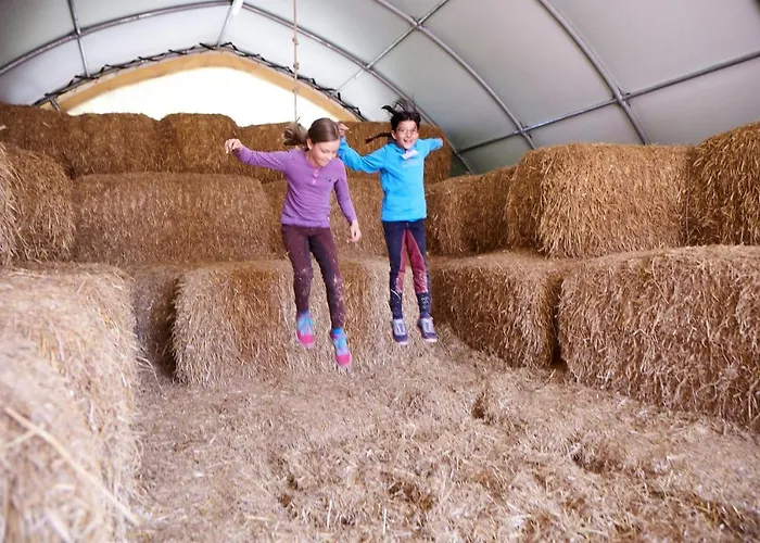Luxuswellnesshaus Weitblick Bliesdorf